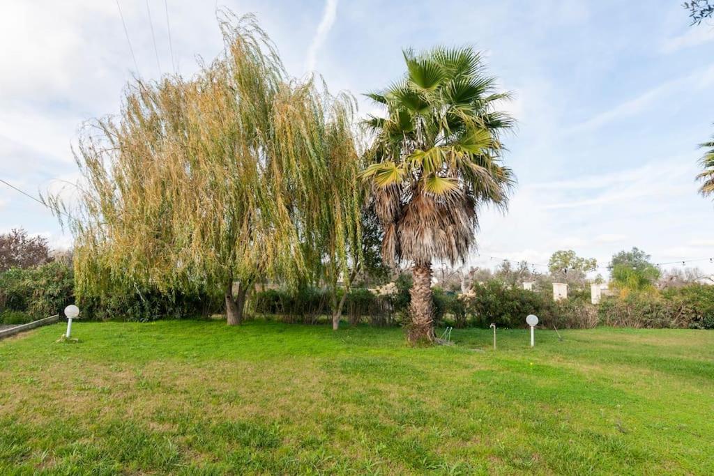 Villa Delle Stelle Con Piscina Leverano Exterior foto